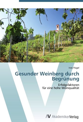 Gesunder Weinberg durch Begrünung: Erfolgsfaktoren für eine hohe Weinqualität