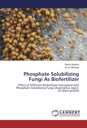 Phosphate Solubilizing Fungi As Biofertilizer: Effect of Different Biofertilizer Inoculated with Phosphate Solubilizing Fungi (Aspergillus niger) on plant growth