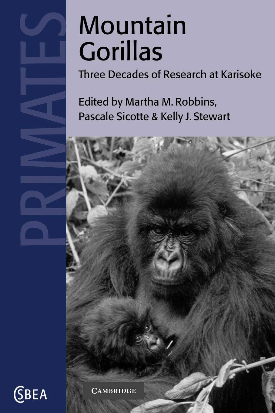 Robbins/Sicotte/Stewart Mountain Gorillas, Three Decades Of Research At Karisoke (Cambridge Studies In Biological And Evolutionary Anthropology, 27, Band 27)