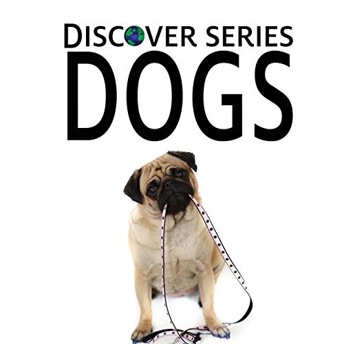 Dogs: Discover Series Picture Book for Children