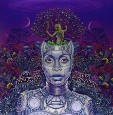 New Amerykah Part Two [Vinyl LP]