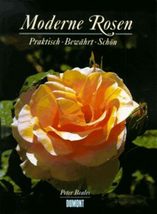 Moderne Rosen. Praktisch - Bewährt - Schön