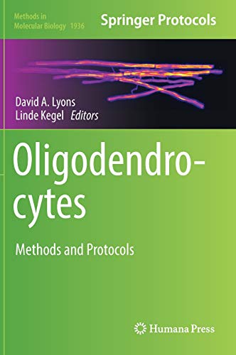 Oligodendrocytes: Methods and Protocols (Methods in Molecular Biology, Band 1936)