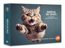 Drôles de chats : l'agenda-calendrier 2025