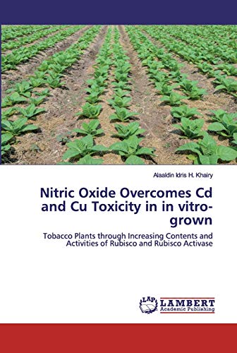 Nitric Oxide Overcomes Cd and Cu Toxicity in in vitro-grown: Tobacco Plants through Increasing Contents and Activities of Rubisco and Rubisco Activase