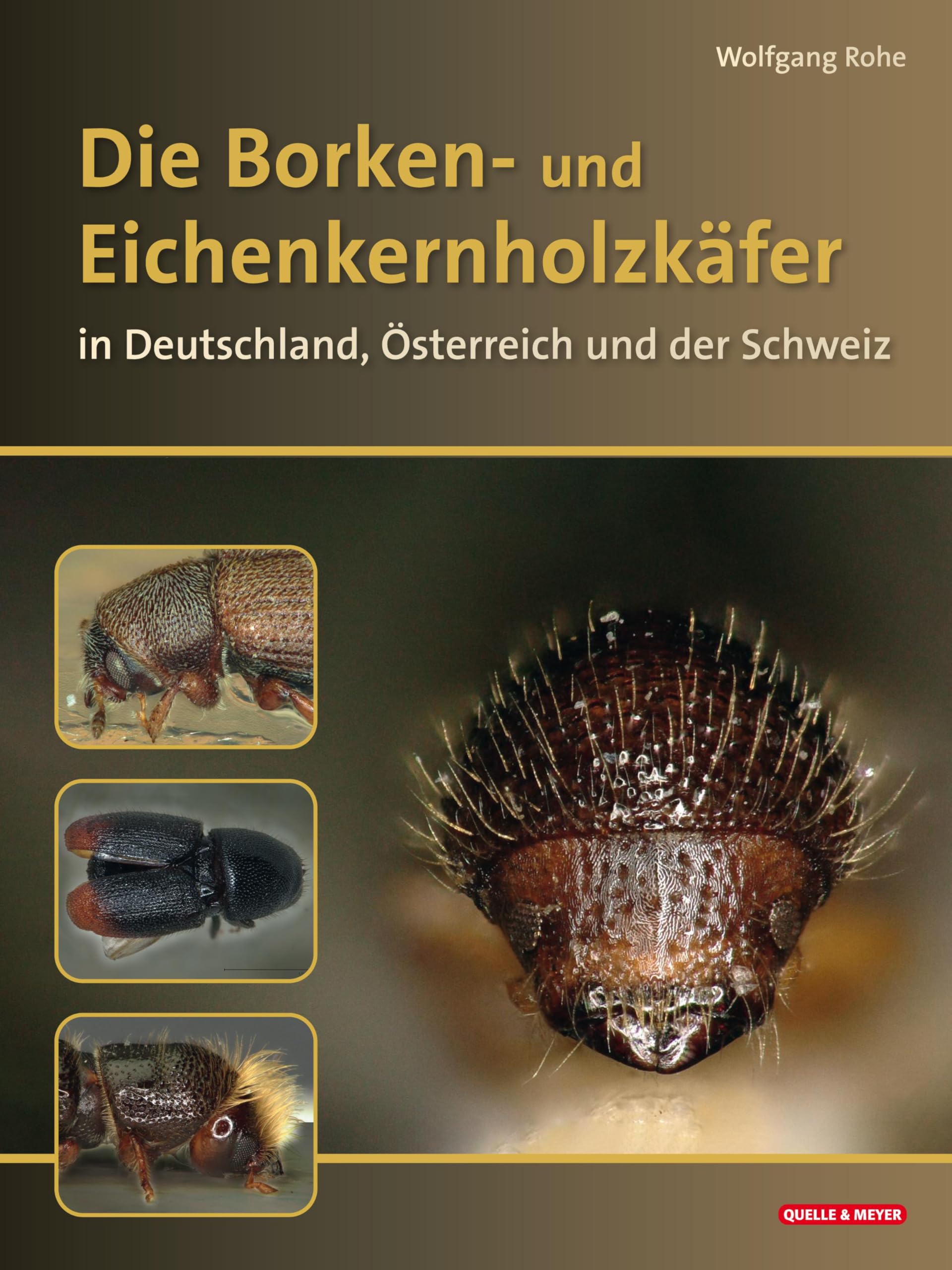 Die Borkenkäfer Deutschlands, Österreichs und der Schweiz: Mit Splint- und Eichenkernholzkäfern