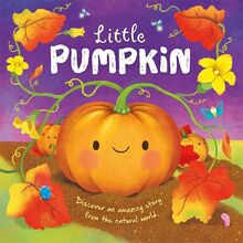 Little Pumpkin (An illustrated story about the life-cycle of a pumpkin)