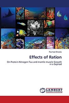 Effects of Ration: On Protein-Nitrogen flux and mantle muscle Growth in a Sepliod