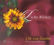 Licht-Bilder