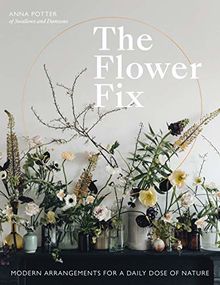 The Flower Fix: Modern arrangements for a daily dose of nature