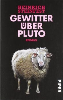 Gewitter über Pluto: Roman