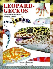 Leopardgeckos