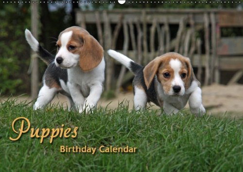 CALVENDO Animals: Puppies Birthday Calendar / UK-Version (Wall Calendar perpetual DIN A2 Landscape): Perpetual Birthday Calendar with cute dogs ... Rottke + Martina Berg, Pferdografen.de
