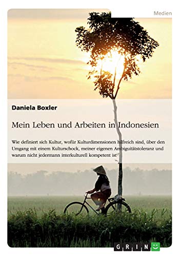 Mein Leben und Arbeiten in Indonesien: Wie definiert sich Kultur, wofür Kulturdimensionen hilfreich sind, über den Umgang mit einem Kulturschock, ... nicht jedermann interkulturell kompetent ist