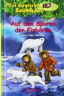 Auf den Spuren der Eisbären