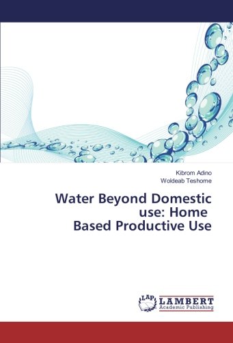 Water Beyond Domestic use: Home Based Productive Use