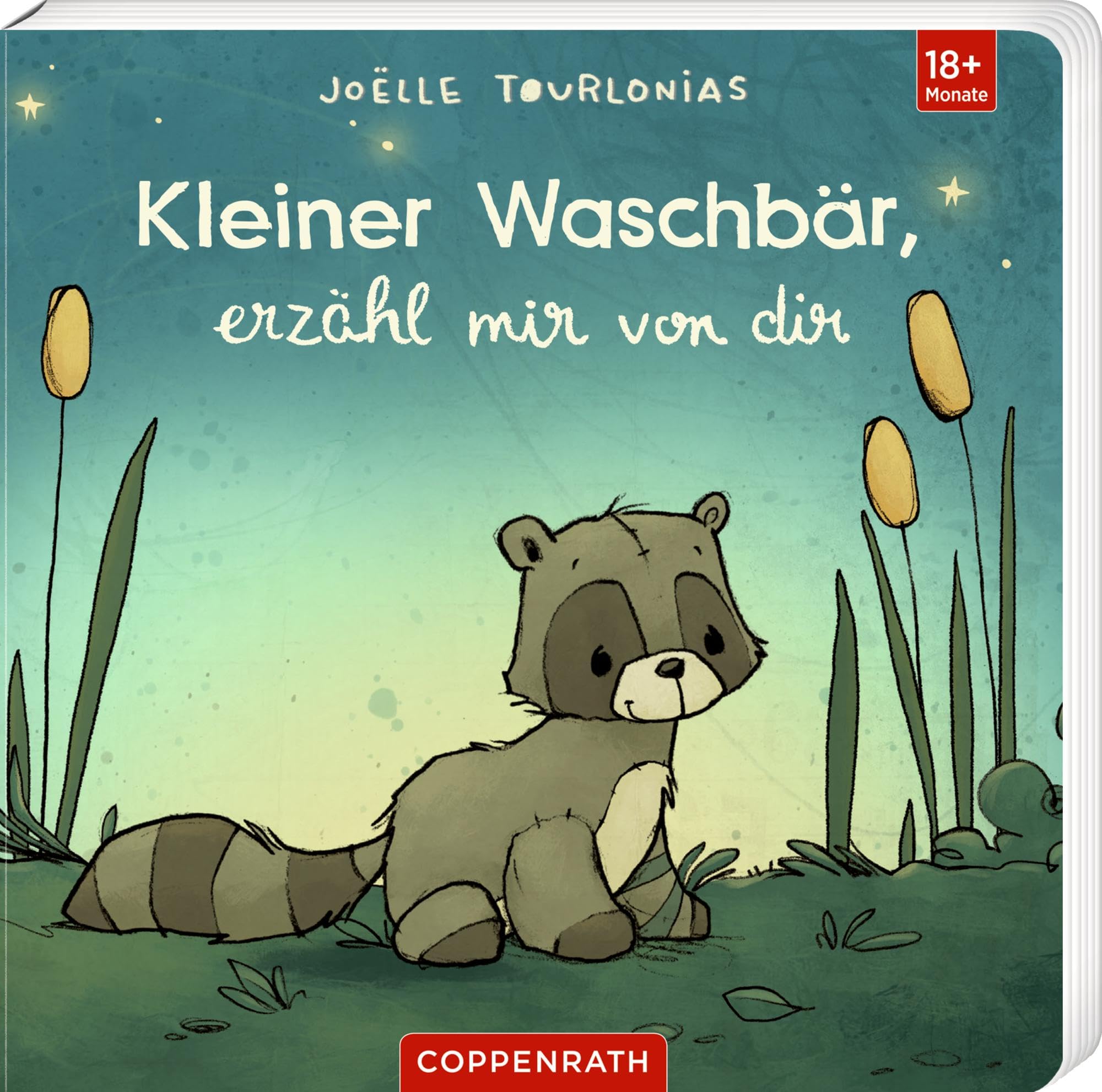 Tourlonias, Joëlle: Liebling: Kleiner Waschbär, erzähl mir von dir