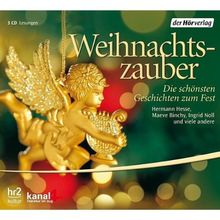 Weihnachtszauber: Die schönsten Geschichten zum Fest
