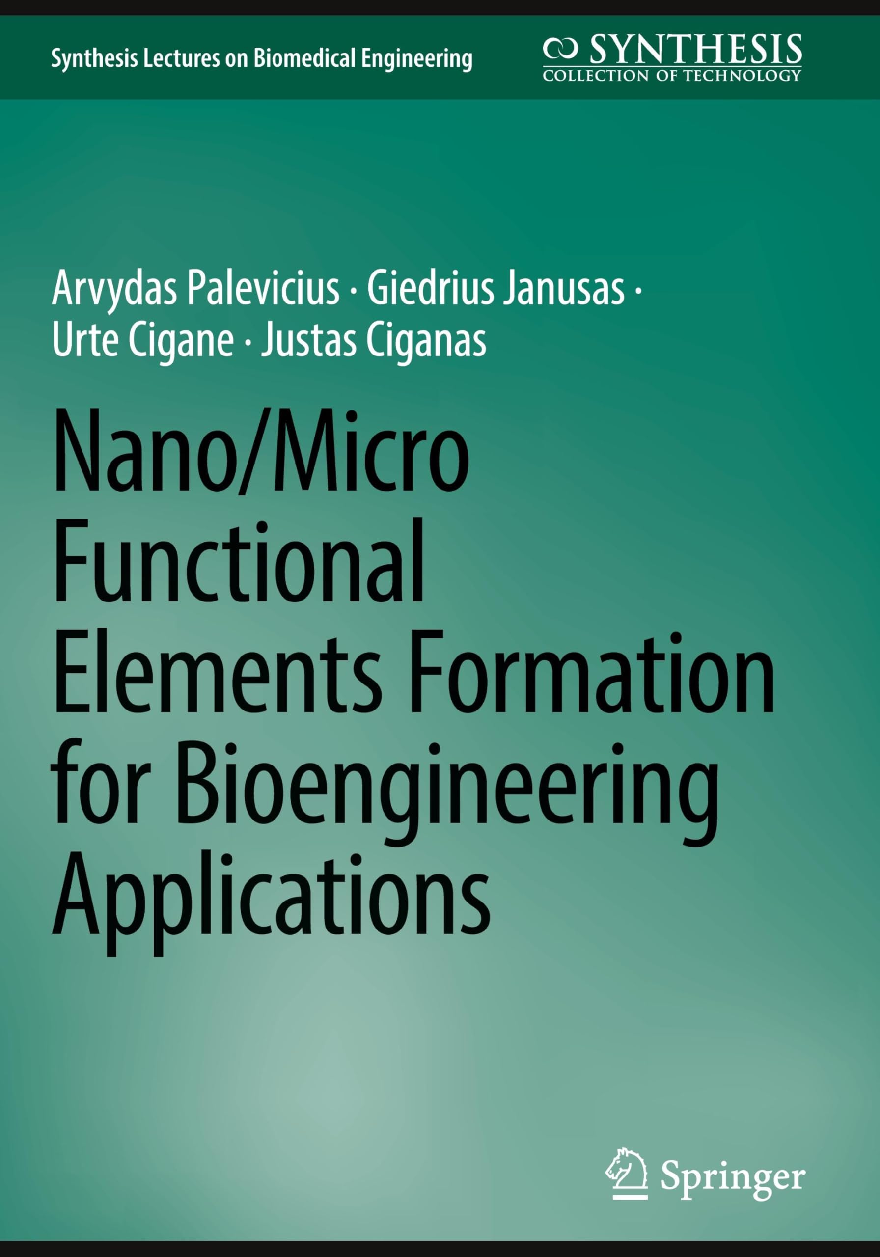 Nano/Micro Functional Elements Formation for Bioengineering Applications (Synthesis Lectures on Biomedical Engineering)