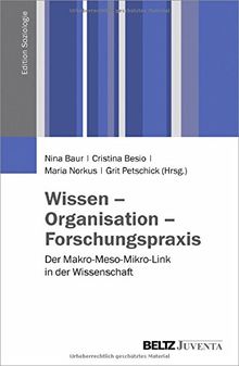 Wissen - Organisation - Forschungspraxis: Der Makro-Meso-Mikro-Link in der Wissenschaft (Edition Soziologie)