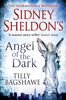 Sidney Sheldons Angel of the Dark