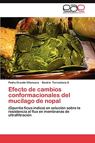 Efecto de cambios conformacionales del mucílago de nopal: (Opuntia ficus-indica) en solución sobre la resistencia al flux en membranas de ultrafiltración
