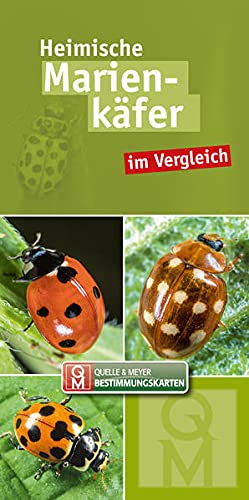 Heimische Marienkäfer: im Vergleich (Quelle & Meyer Bestimmungskarten)