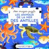 Les animaux de la mer des Antilles
