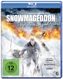 Snowmageddon - Hölle aus Eis und Feuer [Blu-ray] von Sheldon Wilson | DVD | Zustand neu