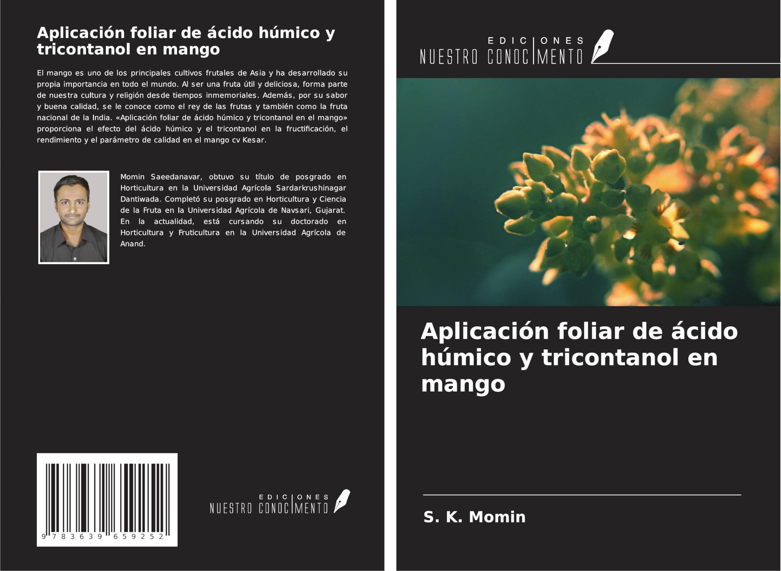 Aplicación foliar de ácido húmico y tricontanol en mango