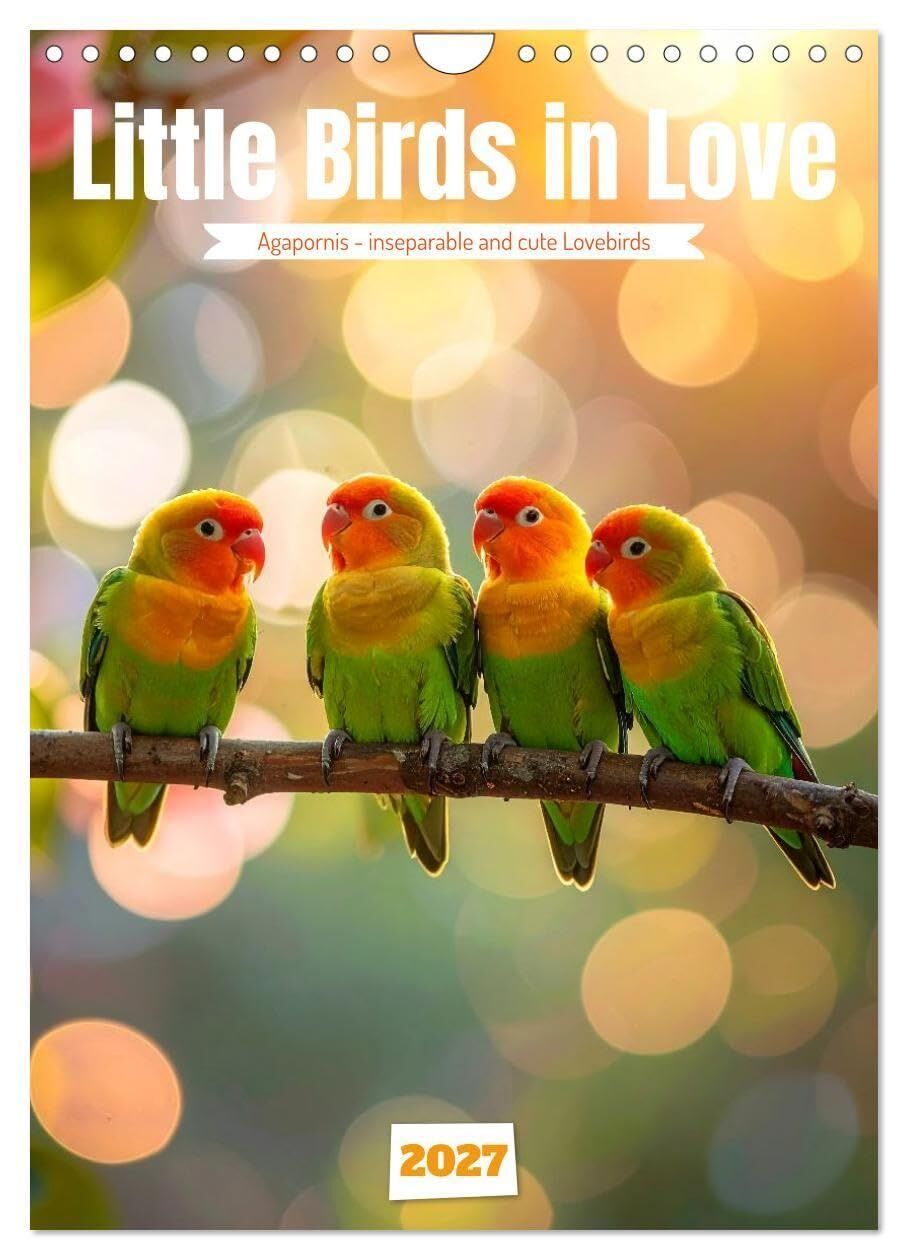 Little Birds in Love (Wall Calendar 2027 DIN A4 portrait), CALVENDO 12 Month Wall Calendar