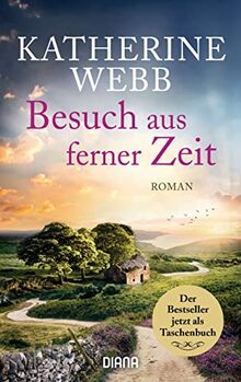 Besuch aus ferner Zeit: Roman