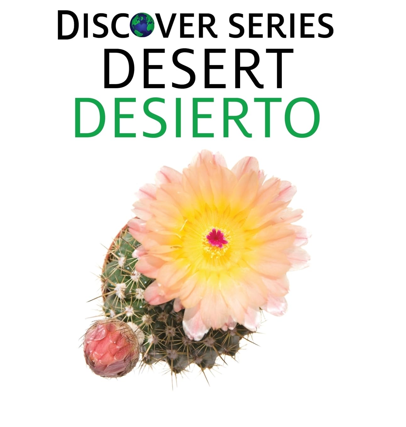 Desert / Desierto (Xist Kids Bilingual Spanish English, Band 34)