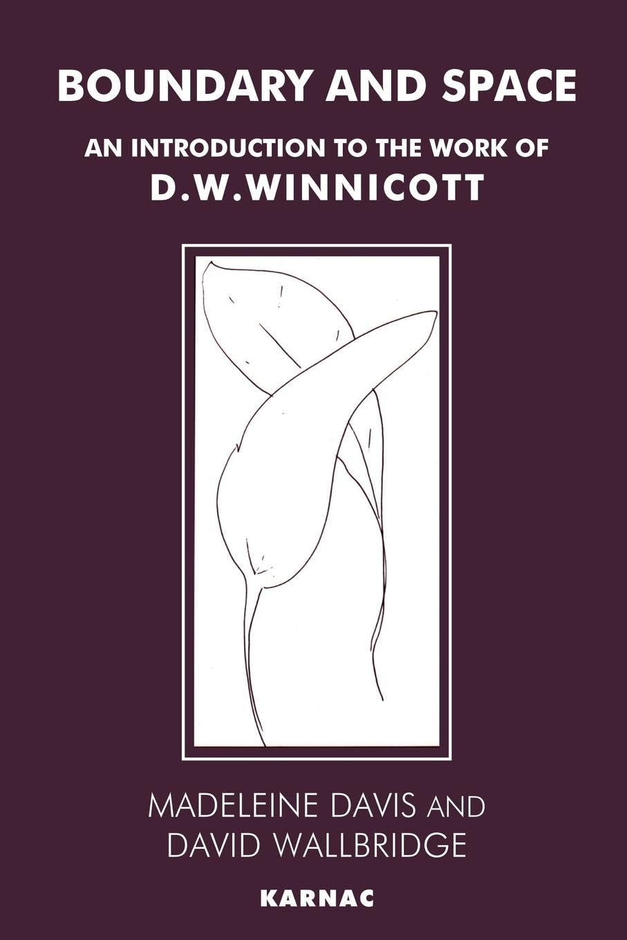 Boundary and Space: An Introduction to the Work of D.W. Winnicott