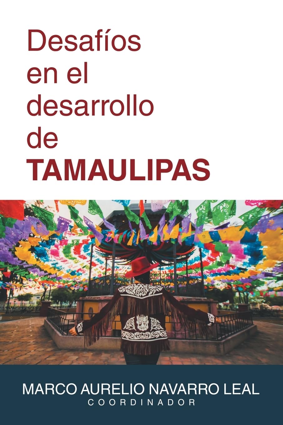 Desafíos en el desarrollo de TAMAULIPAS