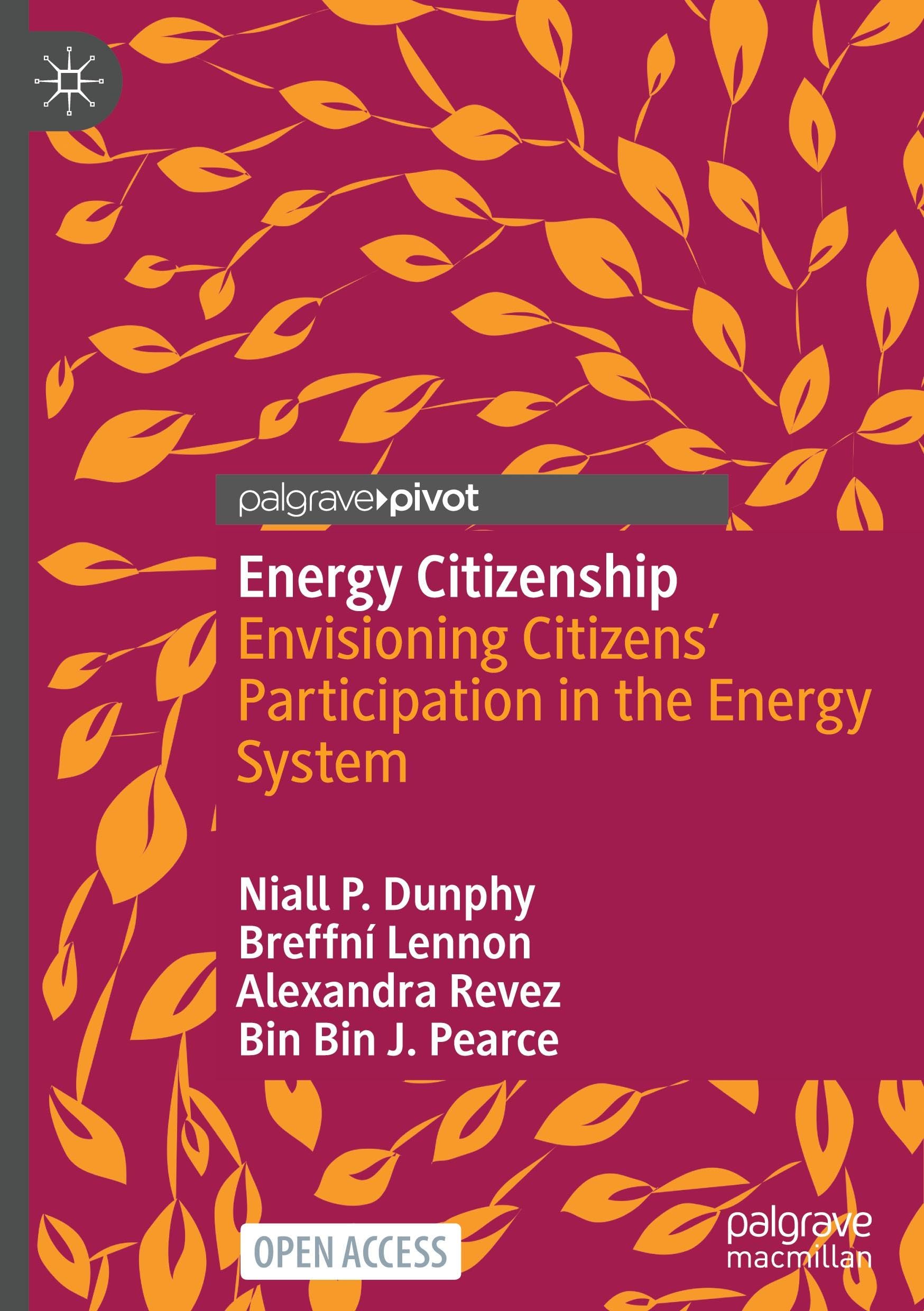 Energy Citizenship: Envisioning Citizens’ Participation in the Energy System