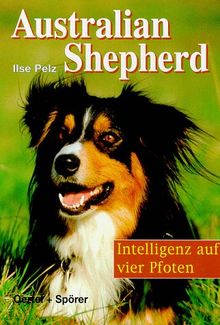 Australian Shepherd. Intelligenz auf vier Pfoten