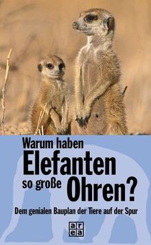 Warum haben Elefanten so große Ohren? Dem genialen Bauplan der Tiere auf der Spur