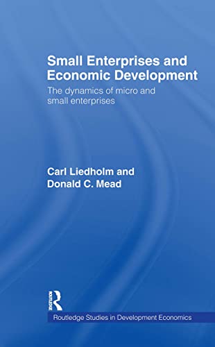 Small Enterprises and Economic Development: The Dynamics of Micro and Small Enterprises (Routledge Series in Development Economics, 15, Band 15)
