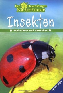 Der Ravensburger Naturführer: Insekten: Beobachten und Verstehen