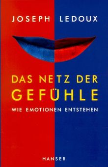 Das Netz der Gefühle: Wie Emotionen entstehen