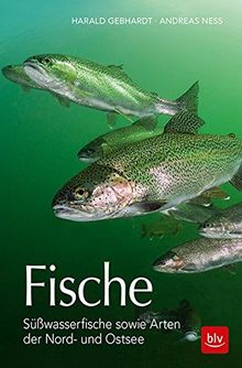 Fische: Süßwasserfische sowie Arten der Nord- und Ostsee