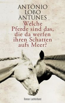 Welche Pferde sind das, die da werfen ihren Schatten aufs Meer?: Roman