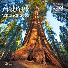 Arbres remarquables : calendrier 2024 : de septembre 2023 à décembre 2024