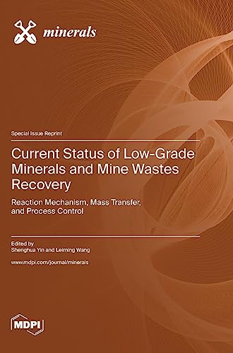 Current Status of Low-Grade Minerals and Mine Wastes Recovery: Reaction Mechanism, Mass Transfer, and Process Control
