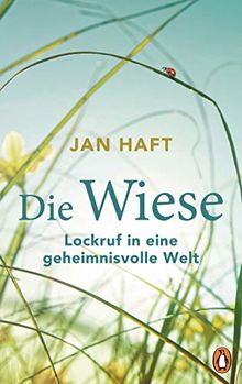 Die Wiese: Lockruf in eine geheimnisvolle Welt - Von dem preisgekrönten Dokumentarfilmer