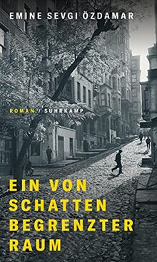 Ein von Schatten begrenzter Raum: Roman