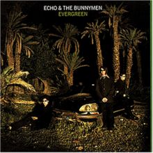 Evergreen de Echo & the Bunnymen | CD | état bon