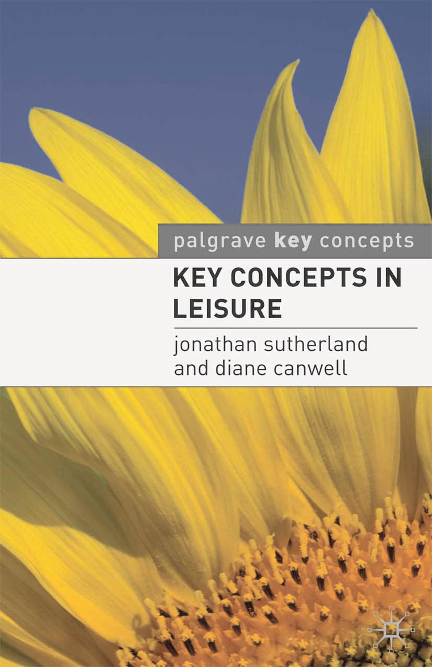 Key Concepts in Leisure - Jonathan Sutherland Diane Canwell Kartoniert (TB)