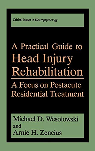 A Practical Guide to Head Injury Rehabilitation: A Focus on Postacute Residential Treatment (Critical Issues in Neuropsychology)